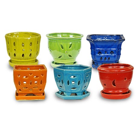 Balcony Beyond 5.5 in. Rainbow Orchid Pot, 12PK BA3241037